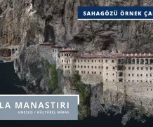 Case Study: Sumela Monastery